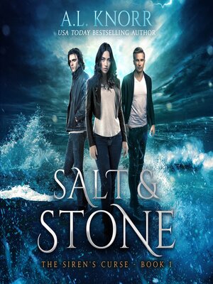 cover image of Salt & Stone